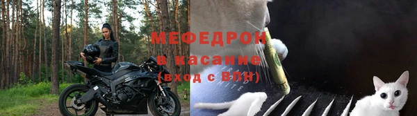 хмурый Арсеньев