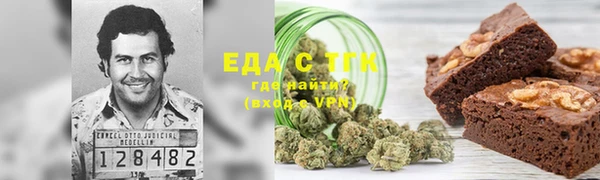 прущие грибы Каменногорск