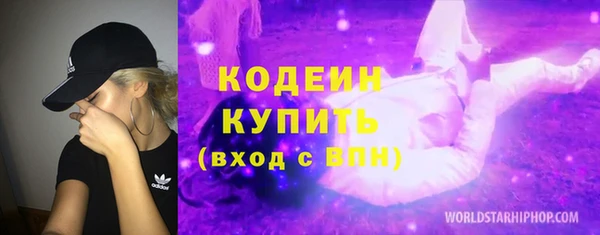 прущие грибы Каменногорск