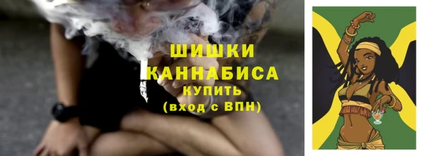 прущие грибы Каменногорск