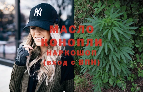 хмурый Арсеньев