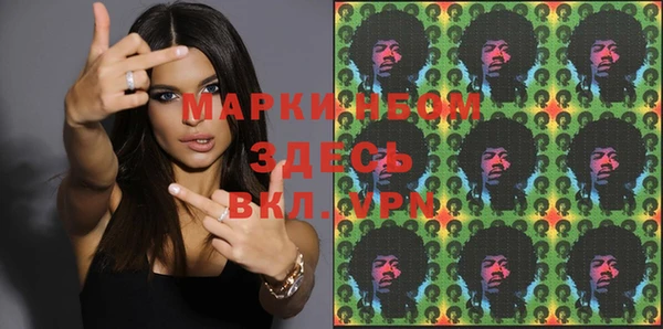 хмурый Арсеньев