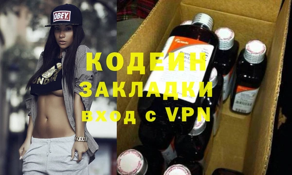 хмурый Арсеньев
