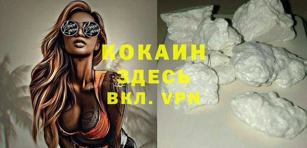 хмурый Арсеньев