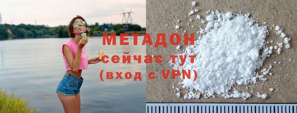 прущие грибы Каменногорск