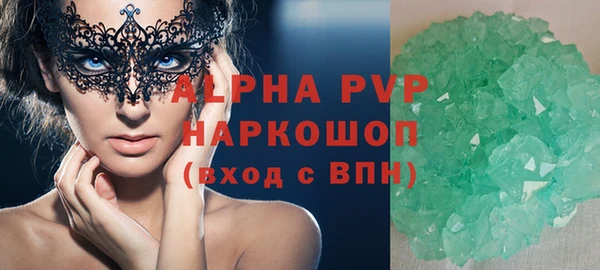 прущие грибы Каменногорск