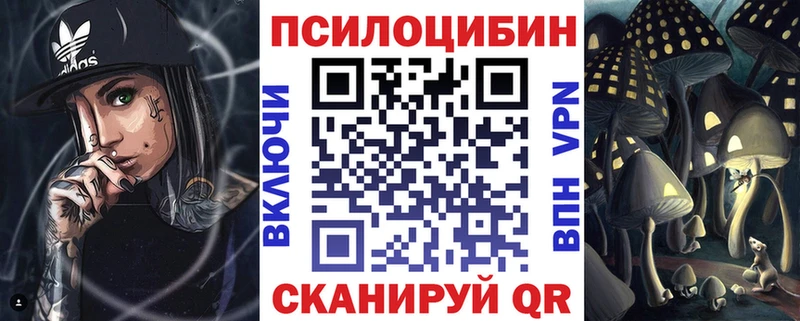 Псилоцибиновые грибы Psilocybe  Купить закладки  Берёзовский 
